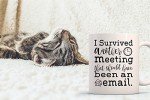 I Survived Another Meeting That Should Have Be - Funny Ceramic Mug - Sarcastic Joke Adult Humor - Perfect Work Appreciation Gift, Employee, Boss, Coworkers, Birthdas 11oz Coffee Mug - by Funnwear