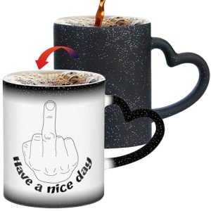 Flaskars Funny Coffee Mug - Have A Nice Day Heat Sensitive Color Changing Mug - White Elephant Gift for Adults, Funny Gag Gift Idea for Coworker, Best Friend, Men, Women