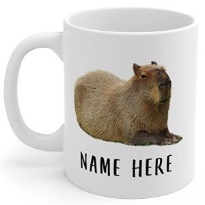 Lovesout Funny Capybara Cute Personalized Name Christmas 2025 Gifts Coffee Mug White 11 Oz