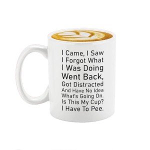 Veracco I Came I Saw I Forgot Coffee Mug Have No Idea Whats Going On Is This My Cup I Have To Pee Cup Sarcastic Gift Office Humor Gift Wife Coffee Mug Gifts For Forgetful Friend Office Humor Present
