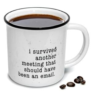 I Survived Another Meeting That Should Have Been An Email Mug 11 Oz, Funny Coffee Mug Work Gift