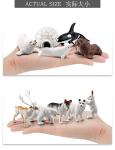 Realistic Polar Animals Model Figurines Toy Arctic Animal Figures Polar Bear Reindeer Seal Wolf Rabbit Arctic Fox Igloo 10PCS