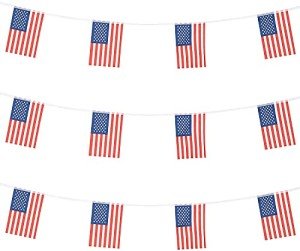 USA Mini Flag Banner for Patriotic Celebrations