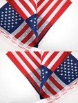 USA Mini Flag Banner for Patriotic Celebrations