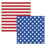 Patriotic Party Supplies for 25 Guests