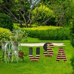 USA Yard Stakes - Patriotic Garden Decor 16