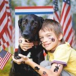 USA Flag Dog Temporary Tattoos – 72 Pack