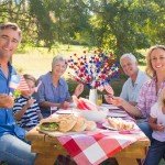 Prashent 6 Pcs 4th of July Artificial Flowers 24 “ Patriotic Berry Picks Faux Red White Blue Berrise Stem for Memorial Day Independence Day Home Table Centerpiece Decor