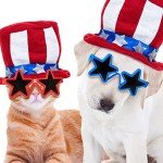 Xuhal Patriotic Sunglasses for Kids Bulk Patriotic Sunglasses Memorial Day Party Favors Fourth of July Accessory(Red and Blue)