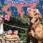 100 Ft. x 18" Stars & Stripes Patriotic USA Plastic Pennant Hanging Banner Decoration, Great for Memorial Day, 4th of July, Veterans Day and any Patriotic Event