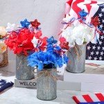 Maysing 3 Sets 4th of July Table Centerpieces Memorial Independence Day Patriotic Red White Blue Artificial Hydrangeas Flower with Vase and Glitter Stars Picks for Home Office(Iron Color)
