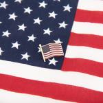 Desert Cactus United States of America Lapel Pin USA Country Metal Enamel Souvenir Hat Men Women Patriotic American (Waving Flag Lapel Pin Gold)