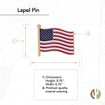 Desert Cactus United States of America Lapel Pin USA Country Metal Enamel Souvenir Hat Men Women Patriotic American (Waving Flag Lapel Pin Gold)