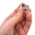 Desert Cactus United States of America Lapel Pin USA Country Metal Enamel Souvenir Hat Men Women Patriotic American (Waving Flag Lapel Pin Gold)