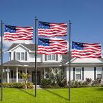 20Ft Flag Poles for Outside House Inground with 3x5 American Flag, Heavy Duty Aluminum In Ground Flagpole,Inground Flag Poles for Residential Commercial Outdoor Garden (Black, 20FT)