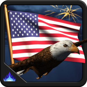 Patriotic American Flag