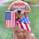 Mysense 4th of July Outfits for Women,4th of July Accessories Set with Red White and Blue Body Glitter,3 USA Flag Sunglasses,9 Beaded Necklaces,6 Bracelets,Fourth of July Outfit Women Kids