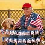 Thank You Veterans Banner, Pre-Strung Veterans Day Party Backdrop Decorations American Flag Soldier Design Patriotic Theme Banner to Honor Our Heroes for Outdoor Indoor Decor