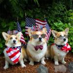 Exacoo 4th of July Headband American Flag Sunglasses 4th of July Accessories Usa Independence Day Memorial Day Decorations Red White and Blue Decorations Patriotic Accessories