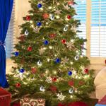 Labor Day Decorations for Tree 24 PCS, Patriotic Christmas Ball Ornaments for Indoor Outdoor, Red Sliver Blue Retirement Going Away Welcome Home Party Hanging Decor Gift for Veterans Election Day Army