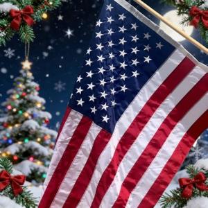 American Flag 3x5 ft Outdoor 420D Heavy Duty USA Flag with Embroidered Stars Sewn Stripes Brass Grommets American Flags for Outside All Weather, Decoration, Schools, Business