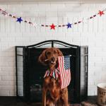 5.2 FT Patriotic Star Beaded Garland – Red White Blue Felt Star & Wooden Bead Banner, Rustic Farmhouse 4th of July Decorations for Shelf, Mantel, Fireplace, Wall, Memorial Day & Independence Day Decor