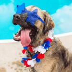 Moikolok 12PCS 4th of July Star Sunglasses Patriotic Rimless Glasses Red White Blue Transparent Eyewear for Independence Day Party Favors Memorial Day Decorations