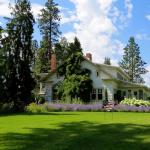 USA Flag Heart Welcome Lawn Sign – 22.5" x 16" Metal Garden Decorative Stake, Patriotic Yard Decor, American Flag Outdoor Decor for 4th of July, Red Blue & White Metal Sign, Memorial Day, Veterans Day, Rustic Americana Lawn Decoration