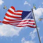 Flag Pole Kit with 3x5 Embriored American Flag - 9.5FT Tangle Free Heavy Duty Ground Flagpole with Anti-Tip Stake,Portable Flag Pole Freestanding for Outside House Yard Festival Camping,Black