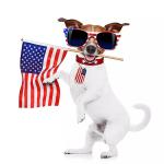 QYVEWY 4 Pairs American Flag Sunglasses Bulk for Men Women UV400 Protection Classic Patriot (White frame/grey lens)