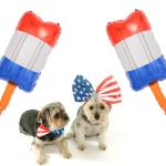 5Pcs Popsicle Foil Balloons, Red White Blue Balloons for Summer Birthday Party Memorial Day 4th of July Party Decorations Supplies