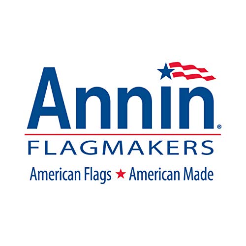 American Car Window Flag and Mount