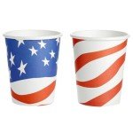 Patriotic Party Supplies Set for 24 People