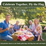 100 Mini American Flags on Sticks