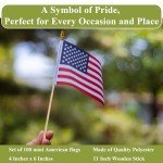 100 Mini American Flags on Sticks