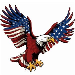 6 Sheets of Patriotic Temporary Tattoos for July 4th