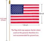 12 Pack Small American Stick Flags for Celebrations