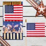 12 Mini American Flags on Sticks for Celebration