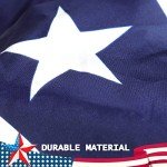 Set of 4 American Pleated Fan Flags