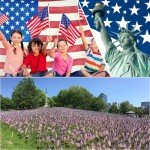 12 Pack American Flags for Patriotic Celebrations