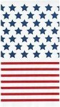 American Flag Disposable Napkins and Guest Towels - 16pcs