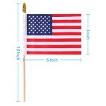 Mini American Flags on Stick - 50 Pack