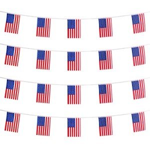 30 Mini USA Flags String Pennant Banner