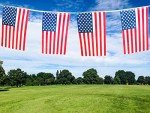 30 Mini USA Flags String Pennant Banner