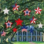 16 Pcs Patriotic Star Yard Signs for Holidays