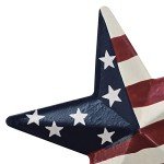 Set of 6 Metal American Star Garden Stakes