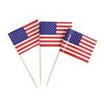 100 Pack USA Flag Toothpick Party Decorations