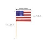 100 Pack USA Flag Toothpick Party Decorations