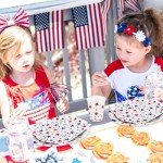 96-Piece Patriotic Party Tableware Set for Holidays