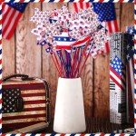 36 Pcs 4th of July Star Picks Set